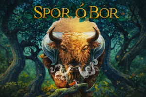 Spór o Bór