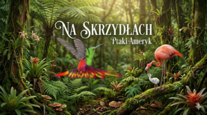 Na skrzydłach: Ptaki Ameryk