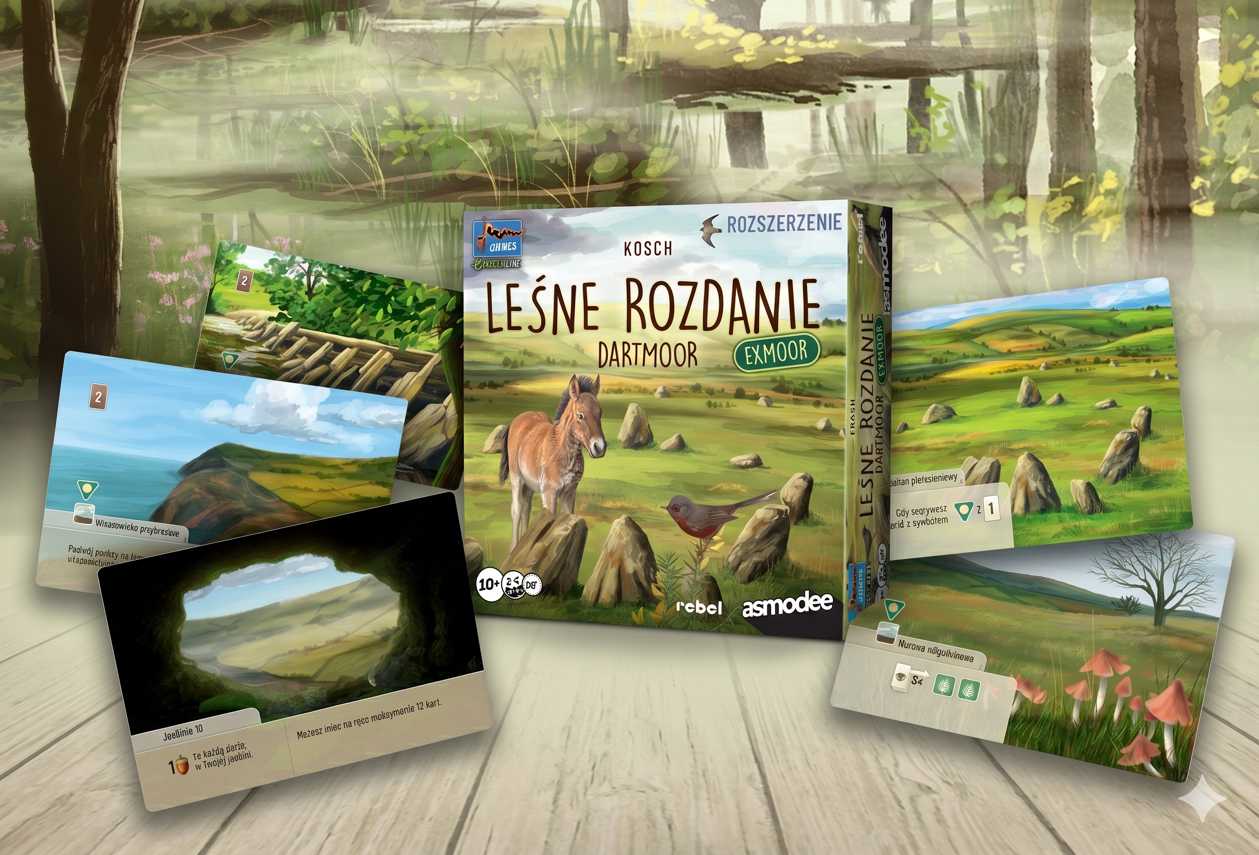 Leśne rozdanie: Dartmoor - Exmoor